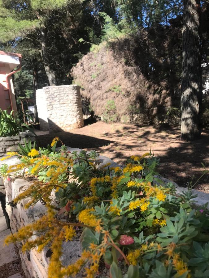 Nature, Memories And Garden Shower At Casa Del Castello Castel Del Monte  Kültér fotó